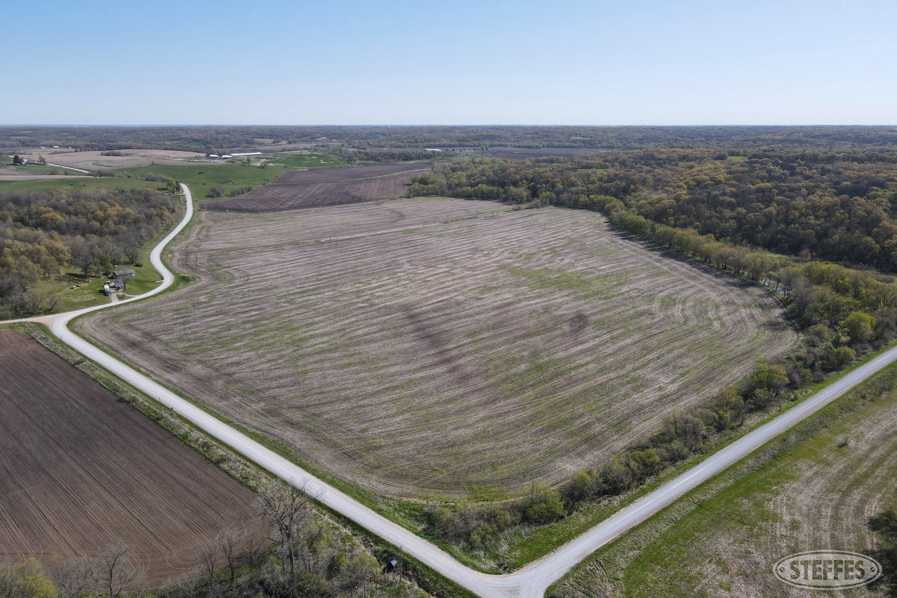 91.38 Gross Surveyed Acres – Sells in 1 Tract